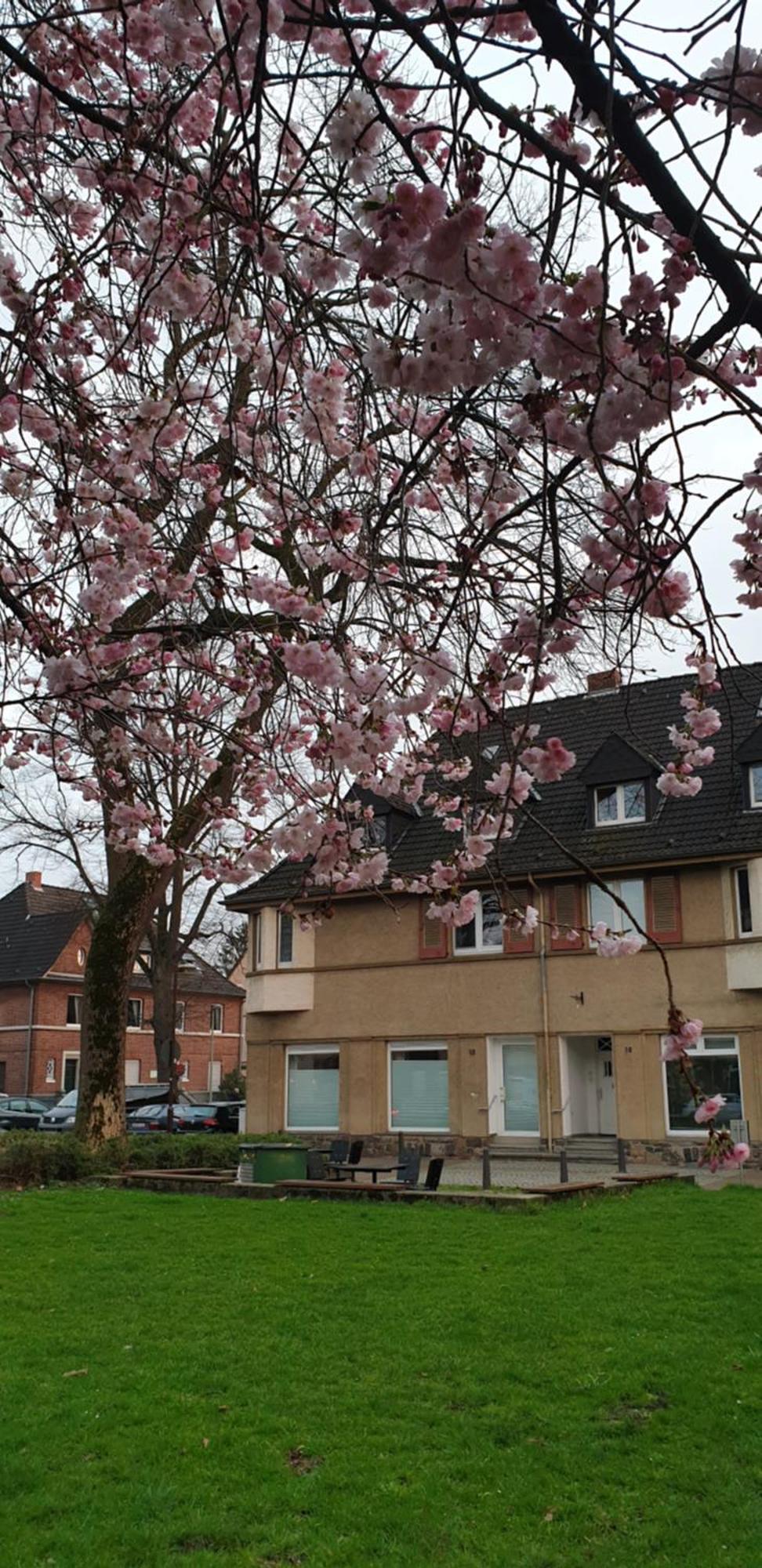 Apartment Wedau Duisburg Bagian luar foto